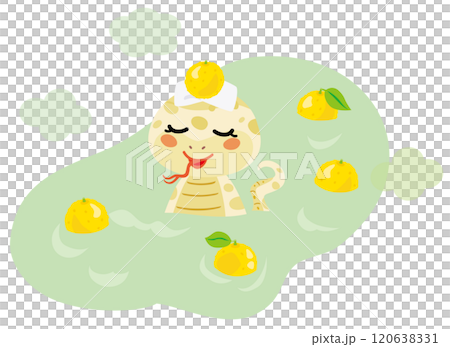 A snake taking a yuzu bath on the winter solstice 120638331
