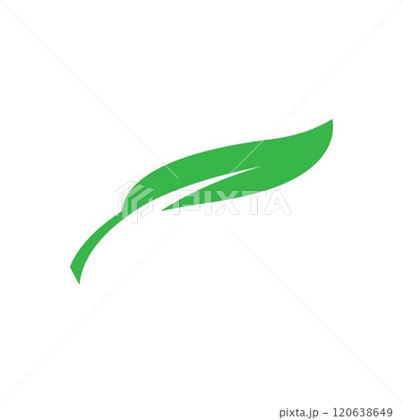 leaf logo leaf logo 120638649
