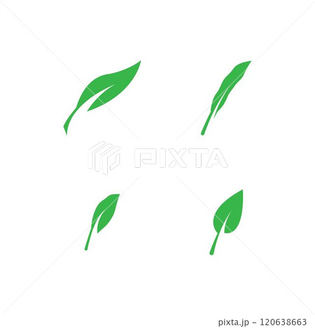 leaf logo 120638663