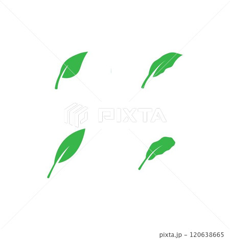 leaf logo leaf logo 120638665