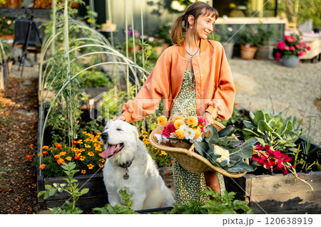 Woman in Garden with Dog and Harvest Basket 120638919