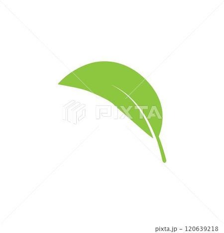 leaf logo leaf logo 120639218
