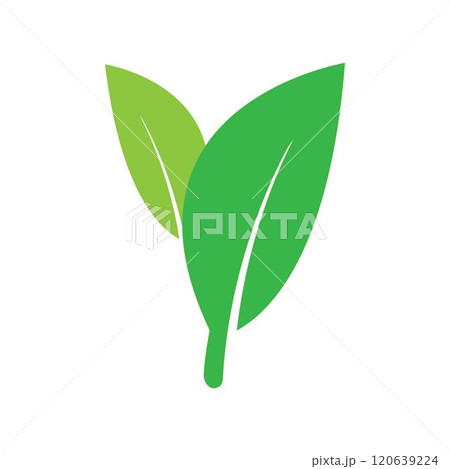 leaf logo leaf logo 120639224