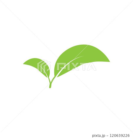 leaf logo leaf logo 120639226