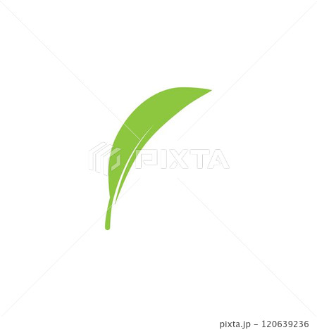 leaf logo leaf logo 120639236