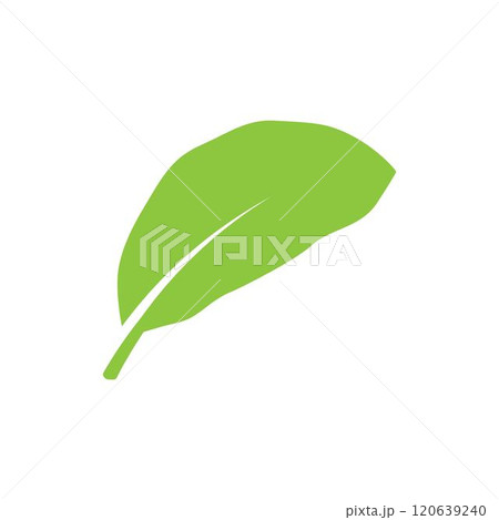 leaf logo 120639240