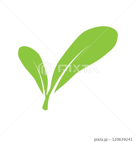 leaf logo 120639241