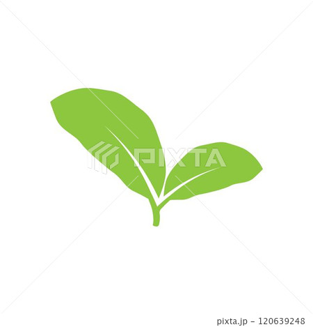 leaf logo 120639248