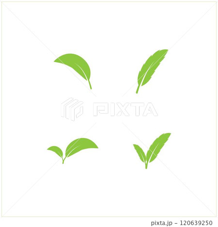 leaf logo 120639250