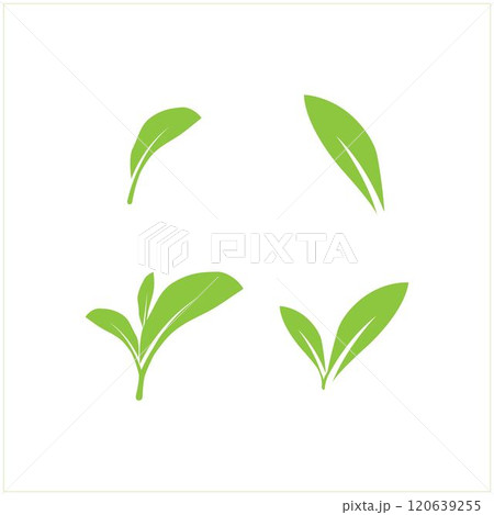 leaf logo 120639255