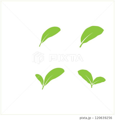 leaf logo 120639256
