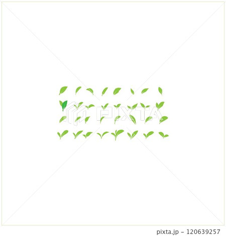 leaf logo leaf logo 120639257