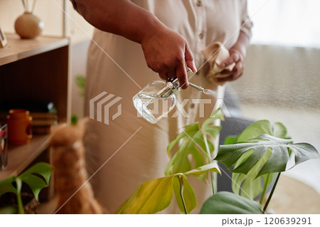 Close up of unrecognizable African American senior woman watering exotic plants at home and holding glass watering can copy space Close up of unrecognizable African American senior woman watering exotic plants at home and holding glass watering can copy space 120639291