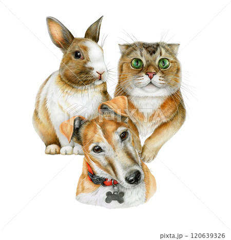 Cute pets group realistic illustration. Funny cat, dog, bunny vintage style illustration on white background. Perfect for pet products, veterinary clinics, animal healthcare branding designs Cute pets group realistic illustration. Funny cat, dog, bunny vintage style illustration on white background. Perfect for pet products, veterinary clinics, animal healthcare branding designs 120639326