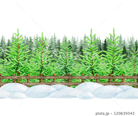 Winter season conifer forest, rustic fence and snow piles seamless border on white background. Hand-painted vintage style illustration. Perfect for holiday designs, cards, and festive decorations 120639343