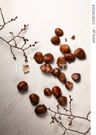 Fresh harvest of edible chestnuts scattered on a white table Fresh harvest of edible chestnuts scattered on a white table 120639504