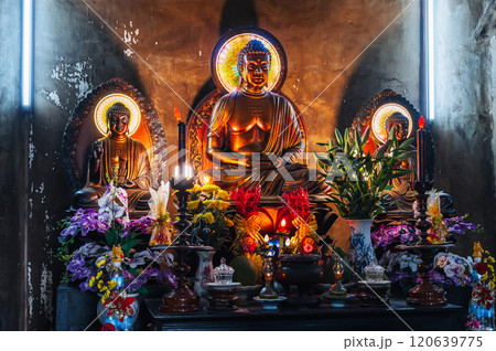 Buddha statues inside temple at Buddhist Pagoda in Nha Trang in Vietnam in Asia Buddha statues inside temple at Buddhist Pagoda in Nha Trang in Vietnam in Asia 120639775