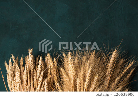 Rye and wheat on a dark turquoise background, top view Rye and wheat on a dark turquoise background, top view 120639906