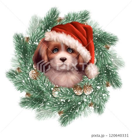 Cute dog in Santa hat. Christmas illustration with fir branches. Cute dog in Santa hat. Christmas illustration with fir branches. 120640331