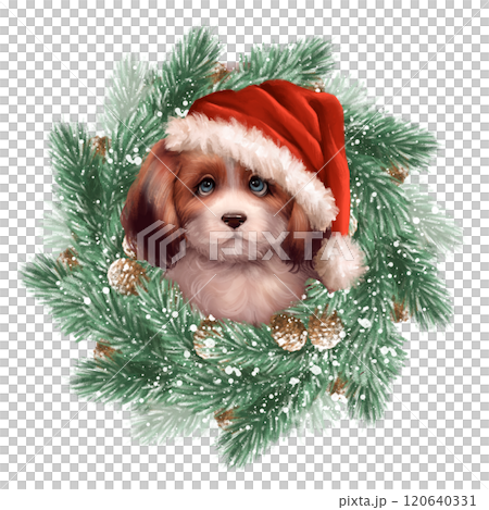 Cute dog in Santa hat. Christmas illustration with fir branches. Cute dog in Santa hat. Christmas illustration with fir branches. 120640331