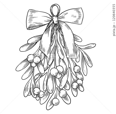 branches of Christmas mistletoe. vector illustration in sketch style. christmas core 120640355