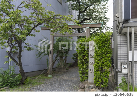 熱田神宮 摂社 松姤社（まつごしゃ） 120640639