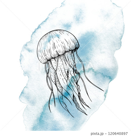 Beautiful jellyfish on a watercolor spot. Hand painted sketch. Graphic clip art isolated on background. Underwater illustration. For designers, invitations, decoration, postcards, wrapping paper 120640897