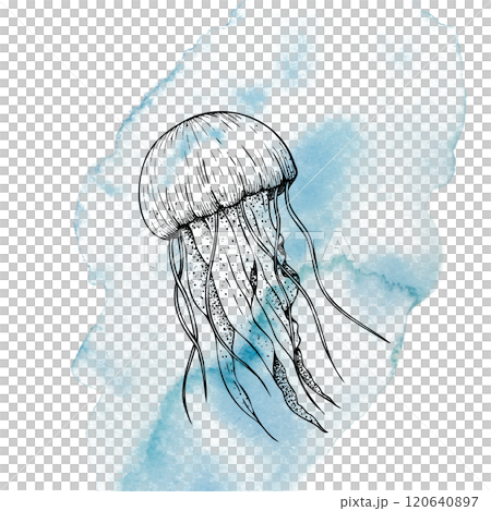 Beautiful jellyfish on a watercolor spot. Hand painted sketch. Graphic clip art isolated on background. Underwater illustration. For designers, invitations, decoration, postcards, wrapping paper 120640897