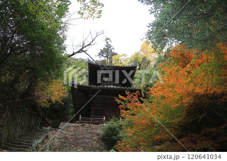 四国霊場71番  弥谷寺 120641034