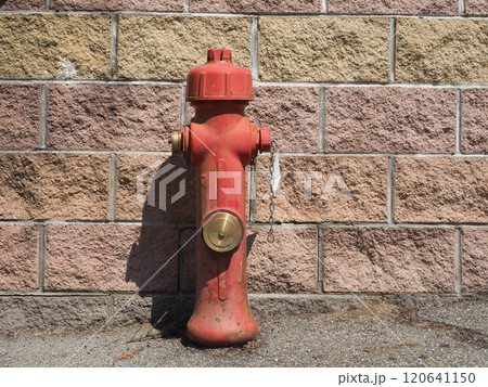 fire hydrant before a wall 120641150