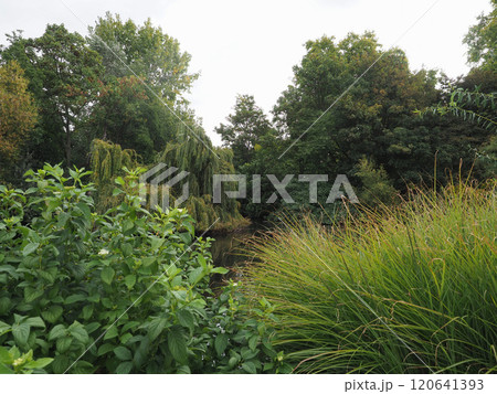 St James's Park in London 120641393