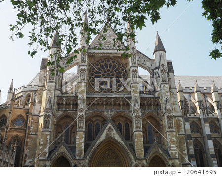 Westminster Abbey church in London 120641395