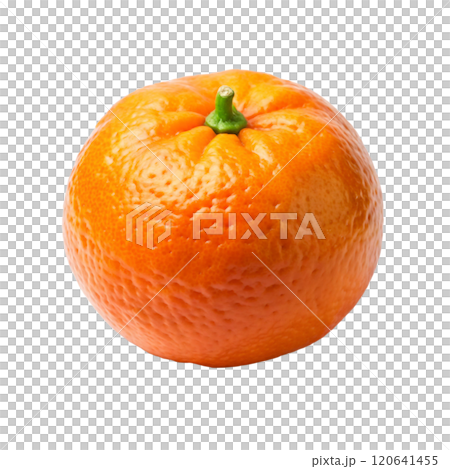 Beautiful and nature mandarin  120641455