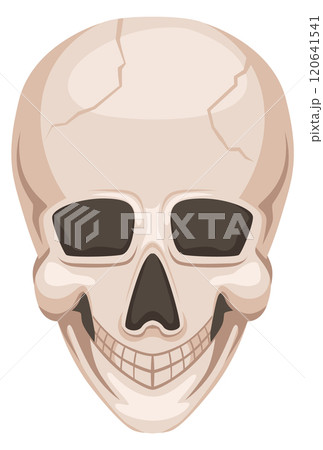 A cartoon skull with a smile on its face 120641541