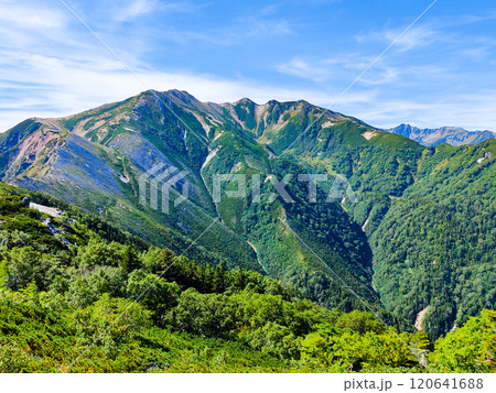 夏の烏帽子岳・南沢岳登山(烏帽子小屋~前烏帽子岳:三ッ岳を望む) 夏の烏帽子岳・南沢岳登山(烏帽子小屋~前烏帽子岳:三ッ岳を望む) 120641688