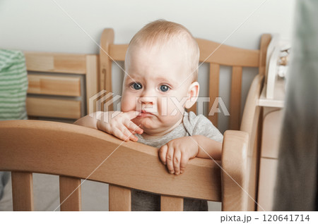 Curious Baby Standing in a Wooden Crib Curious Baby Standing in a Wooden Crib 120641714