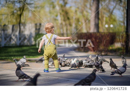 Toddler Walking Among Pigeons in a Sunny Park. 120641728