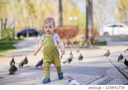 Toddler Walking Among Pigeons in a Sunny Park. 120641730