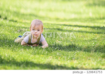 Toddler Lying on Grass in a Sunny Park 120641753