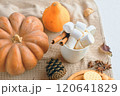 A cozy autumn setup featuring pumpkins, marshmallows in a cup, cinnamon sticks, and fall decorations. 120641829