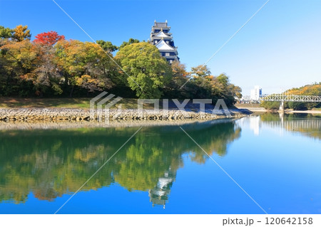 【岡山県】黄葉した岡山城と旭川（令和の大改修後） 120642158