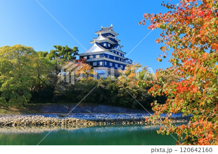 【岡山県】黄葉した岡山城と旭川(令和の大改修後) 【岡山県】黄葉した岡山城と旭川(令和の大改修後) 120642160