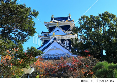 【岡山県】紅葉した岡山城の天守閣（令和の大改修後） 120642163