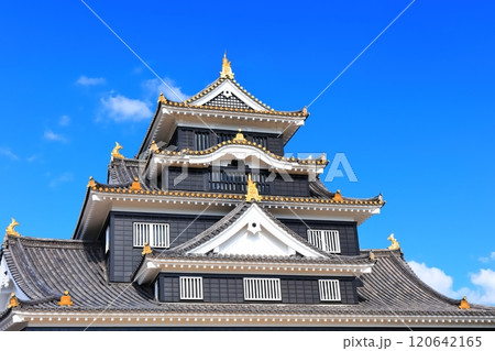 【岡山県】紅葉した岡山城の天守閣（令和の大改修後） 120642165