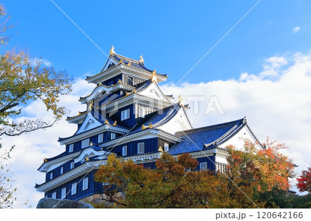 【岡山県】黄葉した岡山城(令和の大改修後) 【岡山県】黄葉した岡山城(令和の大改修後) 120642166