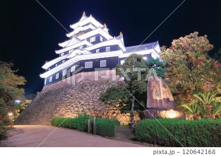 【岡山県】紅葉した岡山城の夜景とライトアップ（令和の大改修後） 120642168