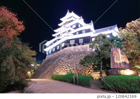 【岡山県】紅葉した岡山城の夜景とライトアップ（令和の大改修後） 120642169