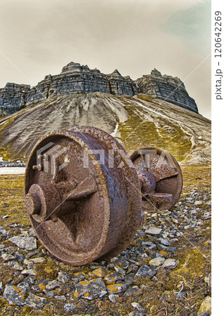 Ancient Remains, Cliffs of Skansen, Arctic 120642269