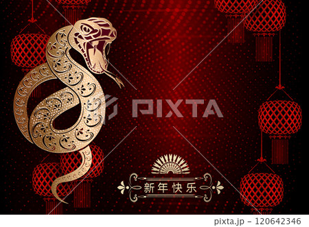 Text Happy New Year,2025 Year of the Snake, red textured illustration with isolated golden snake 120642346