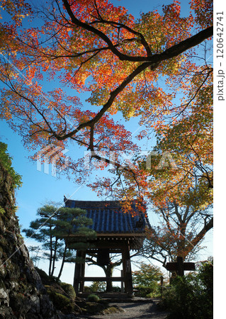 京都　西山　善峯寺の紅葉 120642741